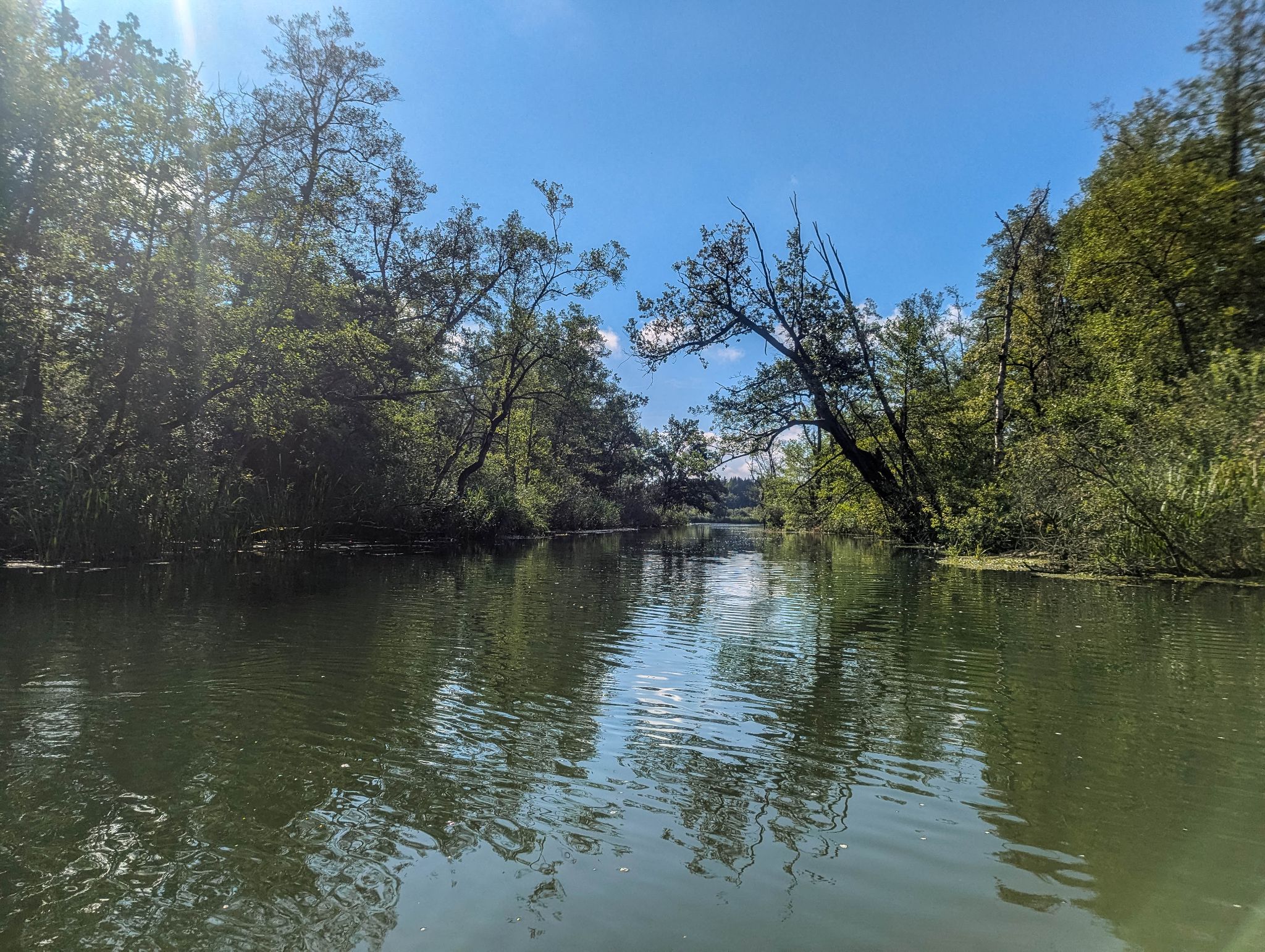 Kajaktour Leutstettner Moos 15.08.2024